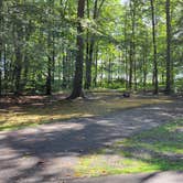 Review photo of Mosquito Lake State Park Campground by Greg K., July 21, 2023