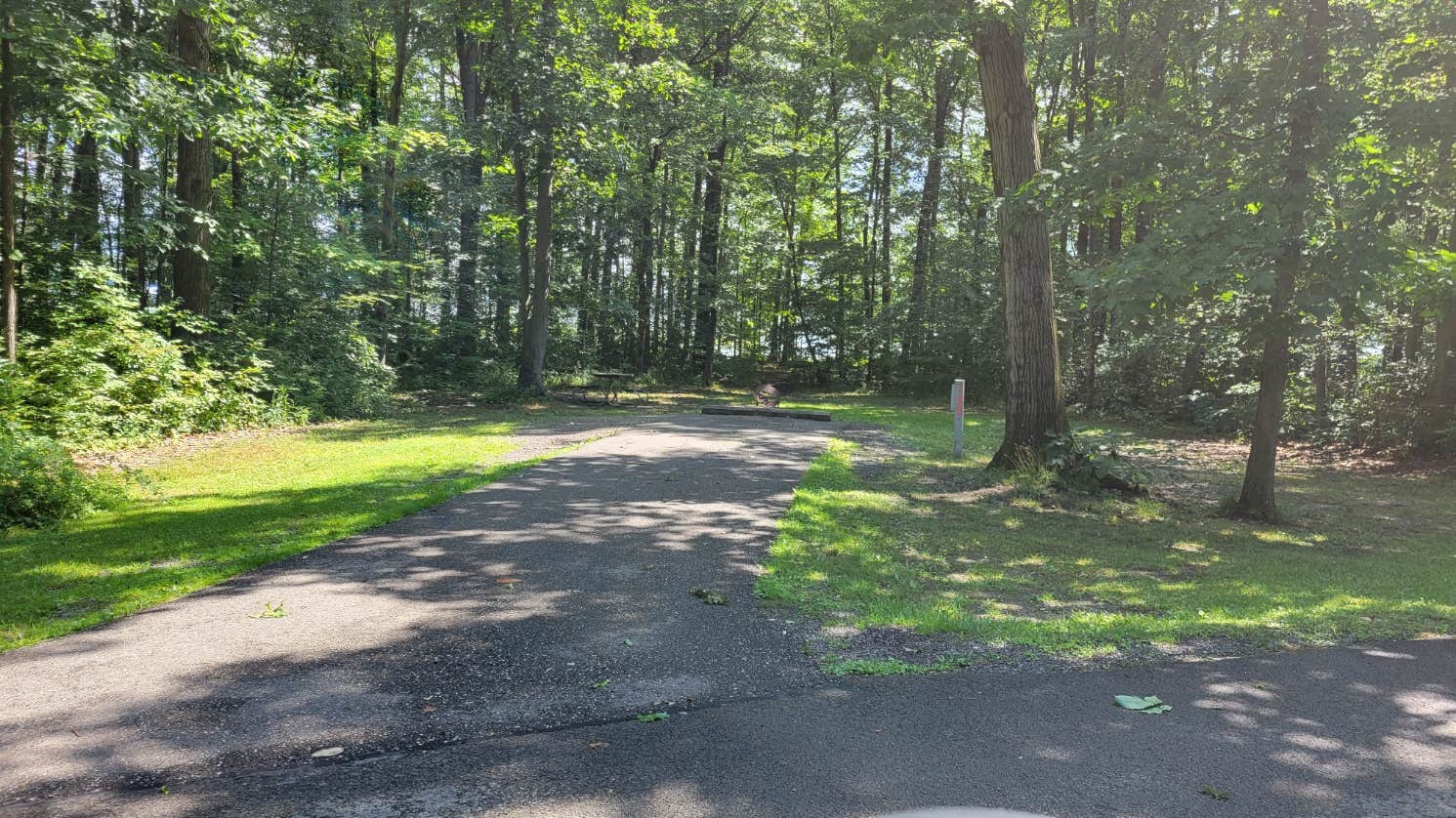 Greg K.'s photo of camping with pets at Mosquito Lake State Park Campground near Garrettsville, OH