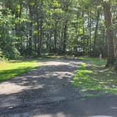 Review photo of Mosquito Lake State Park Campground by Greg K., July 21, 2023