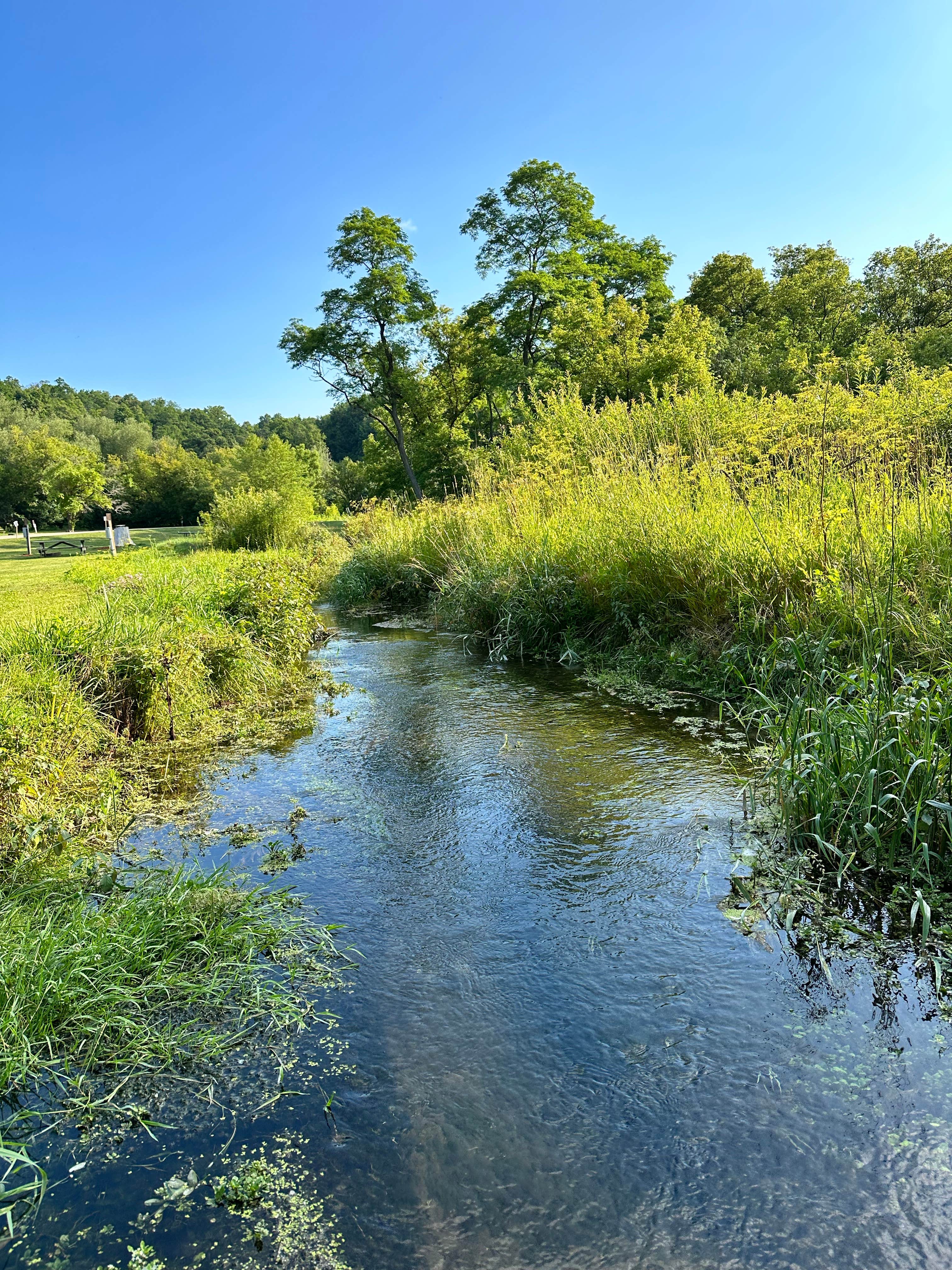 Camper submitted image from Sidie Hollow County Main Campground - 5