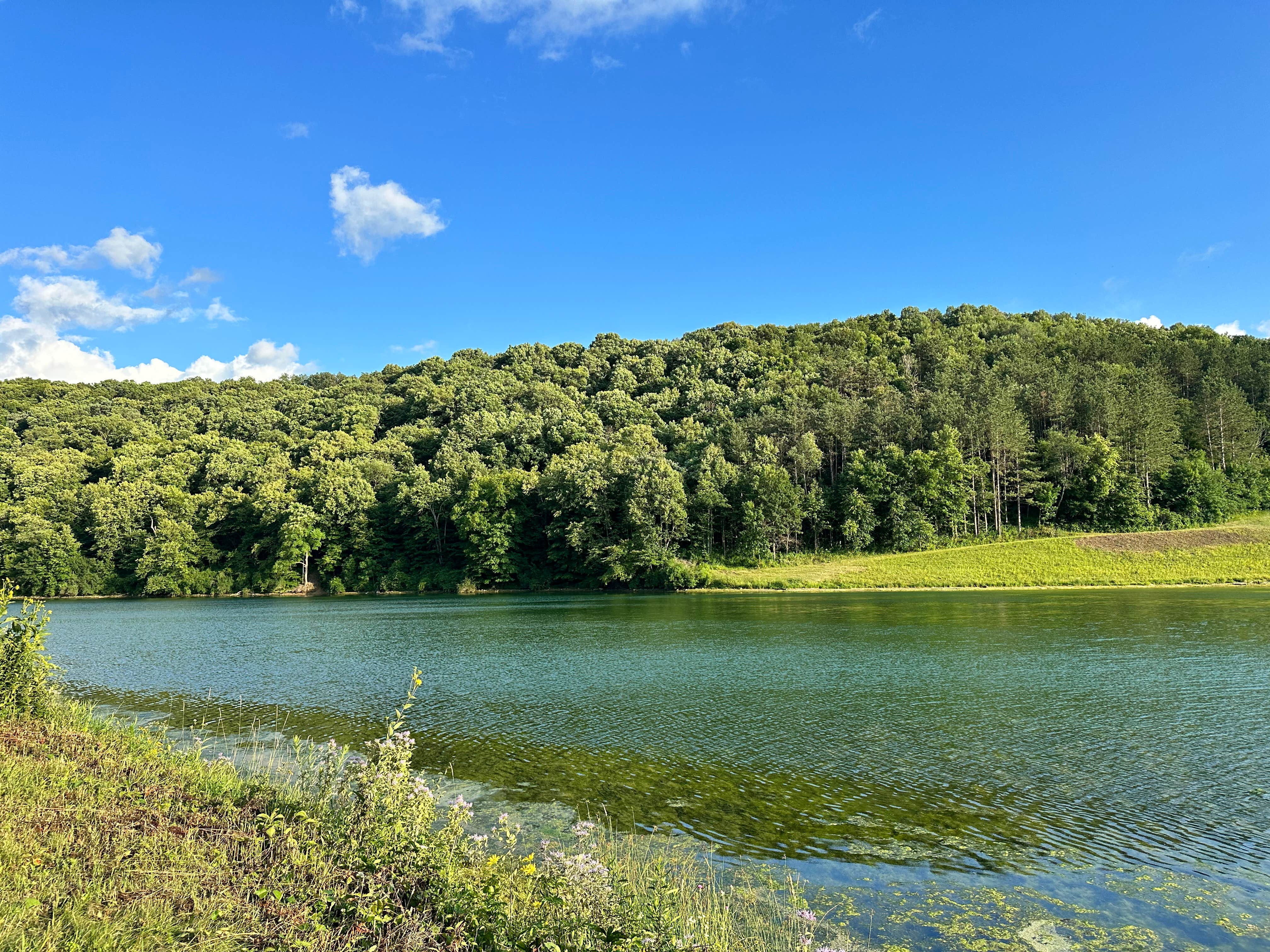 Camper submitted image from Sidie Hollow County Main Campground - 3