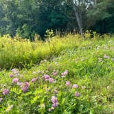 Review photo of Sidie Hollow County Main Campground by Name , July 21, 2023