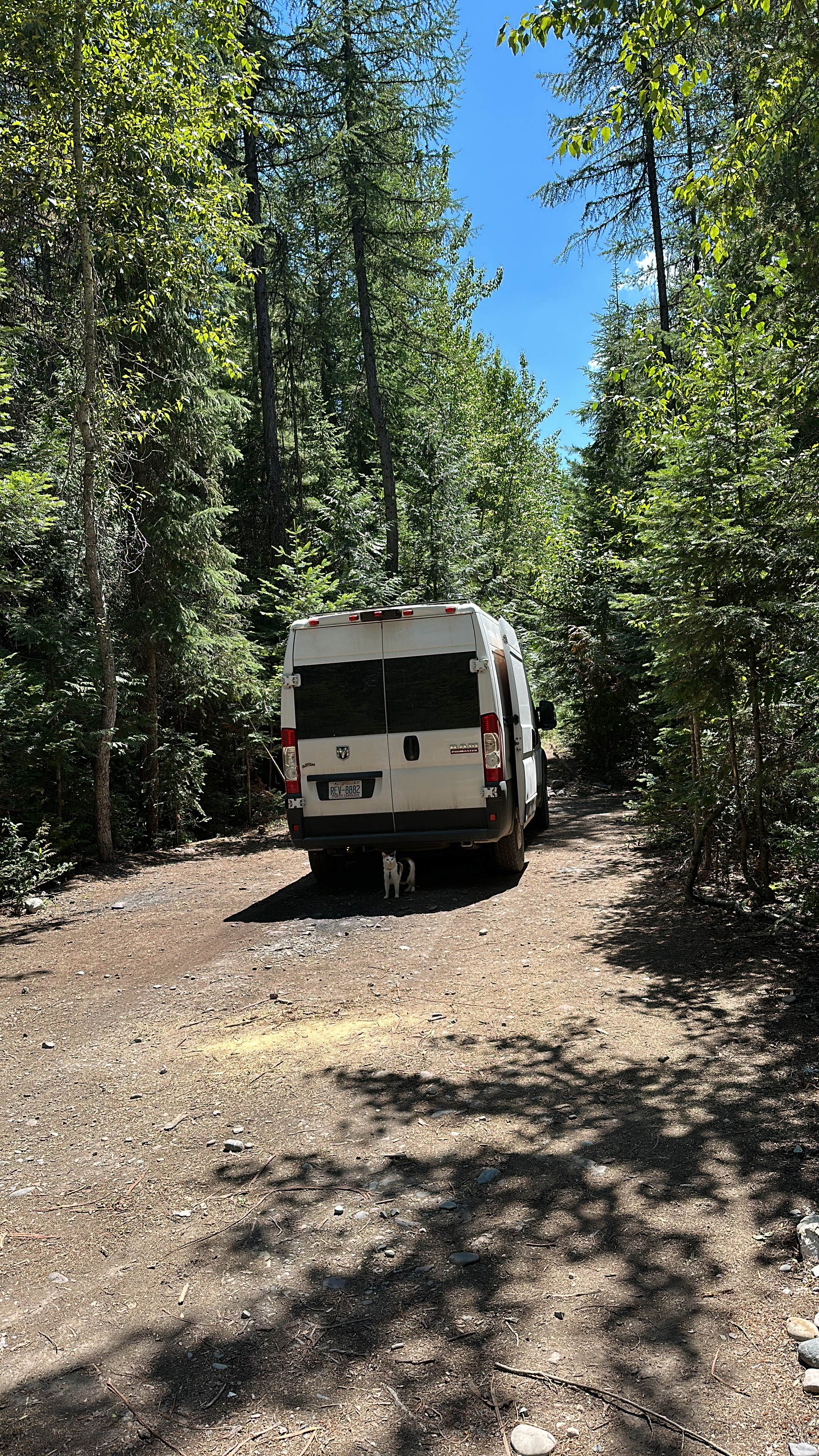 Tee C.'s photo of camping with pets at Glacier Rim River Access 10363 near West Glacier, MT
