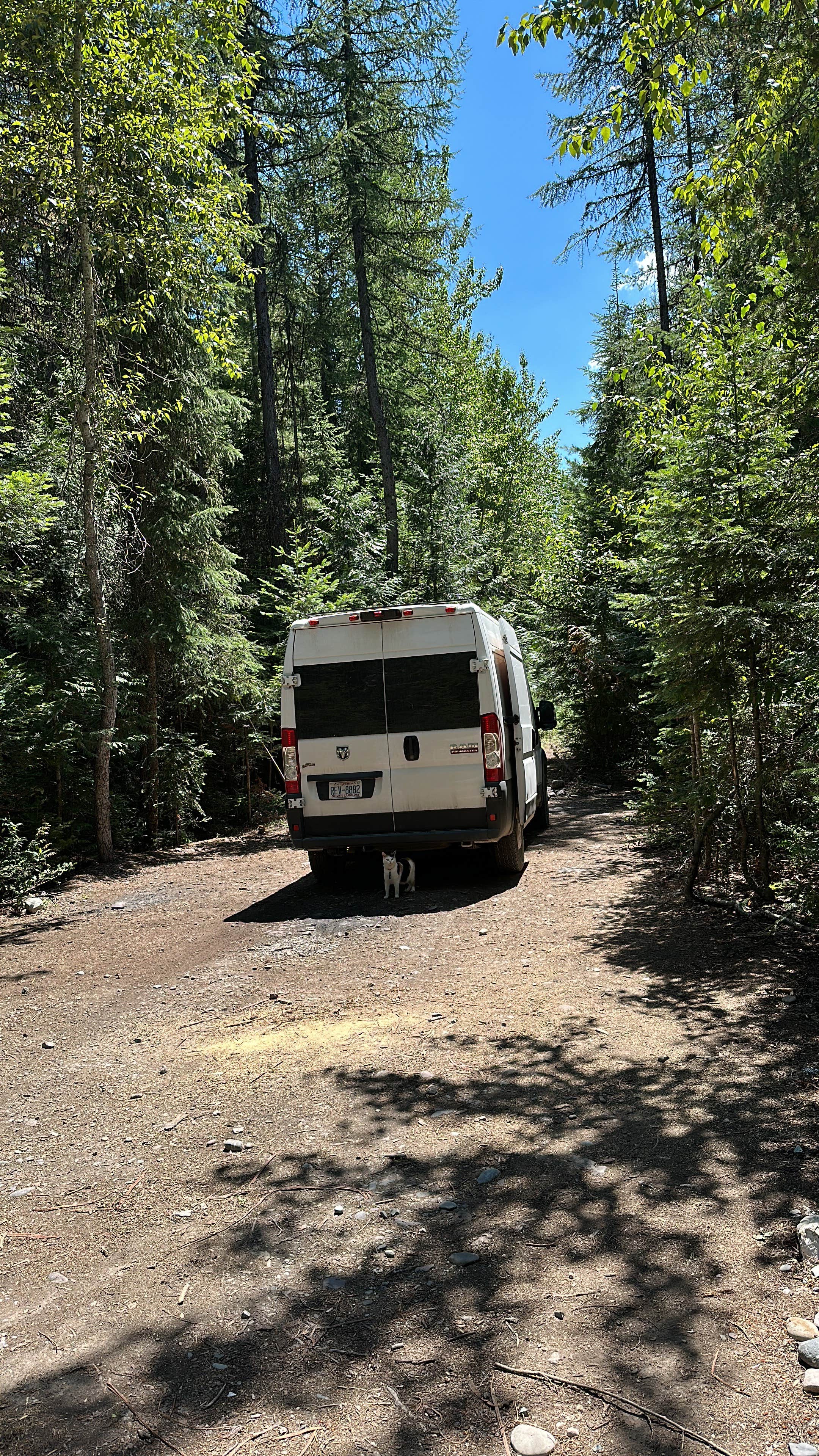 Camper submitted image from Glacier Rim River Access 10363 - 2
