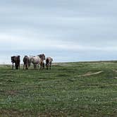 Review photo of Cottonwood Campground — Theodore Roosevelt National Park by Kristi D., July 11, 2023