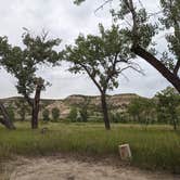 Review photo of Cottonwood Campground — Theodore Roosevelt National Park by Kristi D., July 11, 2023