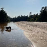 Review photo of Blackwater River State Park by Dallas W., July 21, 2023
