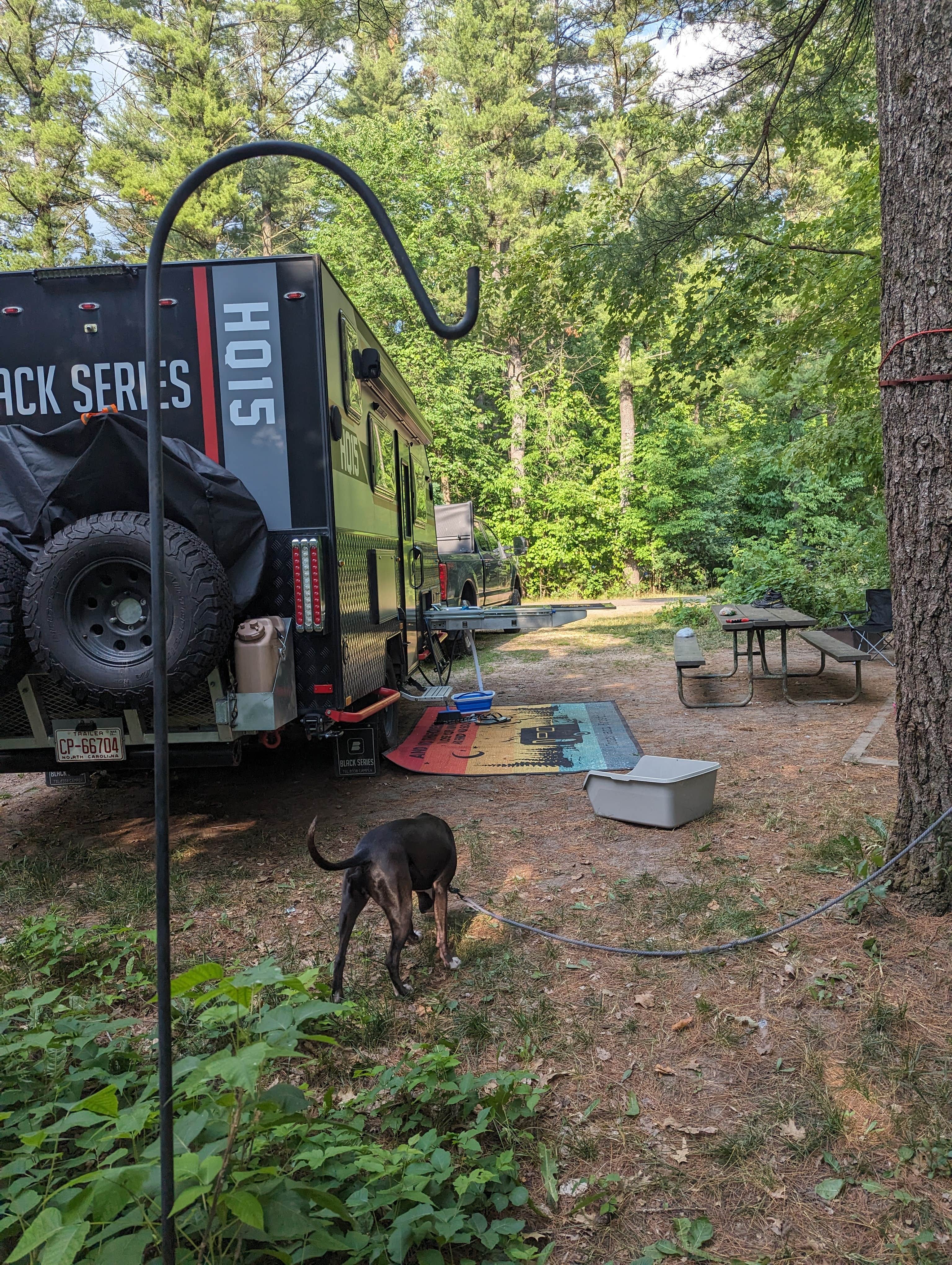 Kristi D.'s photo of camping with pets at Rocky Arbor State Park Campground near Friendship, WI