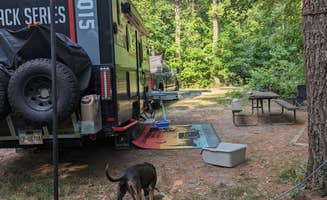 Kristi D.'s photo of camping with pets at Rocky Arbor State Park Campground near Friendship, WI
