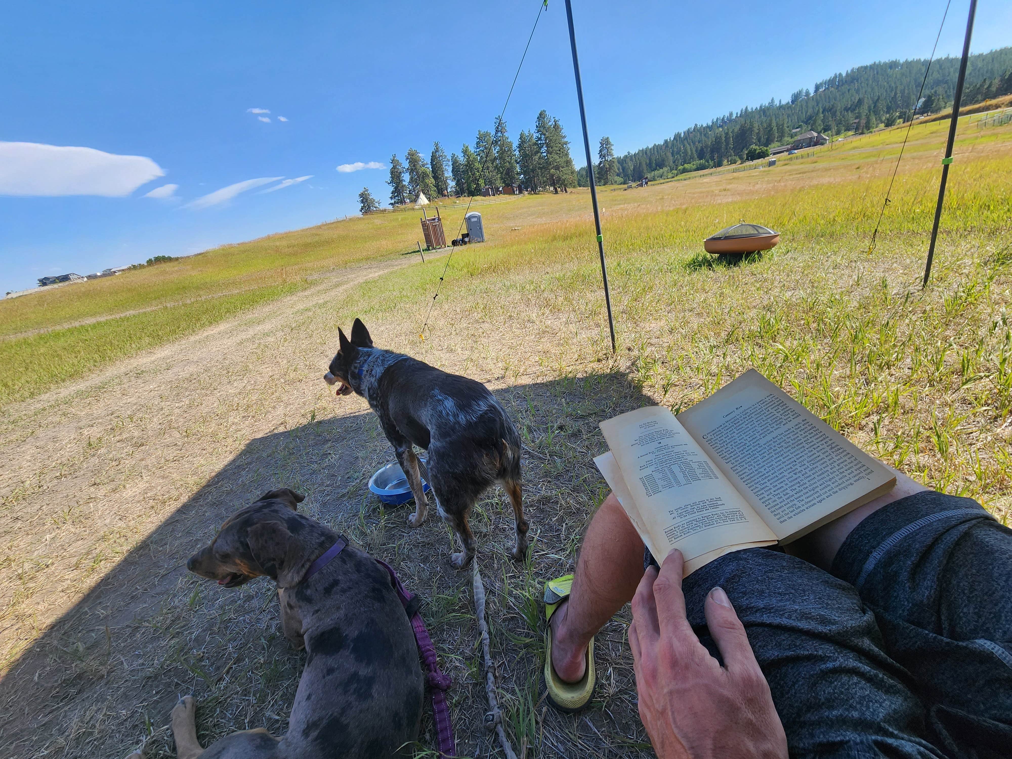 Daniel C.'s photo of camping with pets at Horses Welcome | Hot Shower | Close to Everything near Whitefish, MT