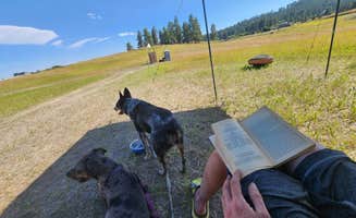 Daniel C.'s photo of camping with pets at Horses Welcome | Hot Shower | Close to Everything near Kalispell, MT