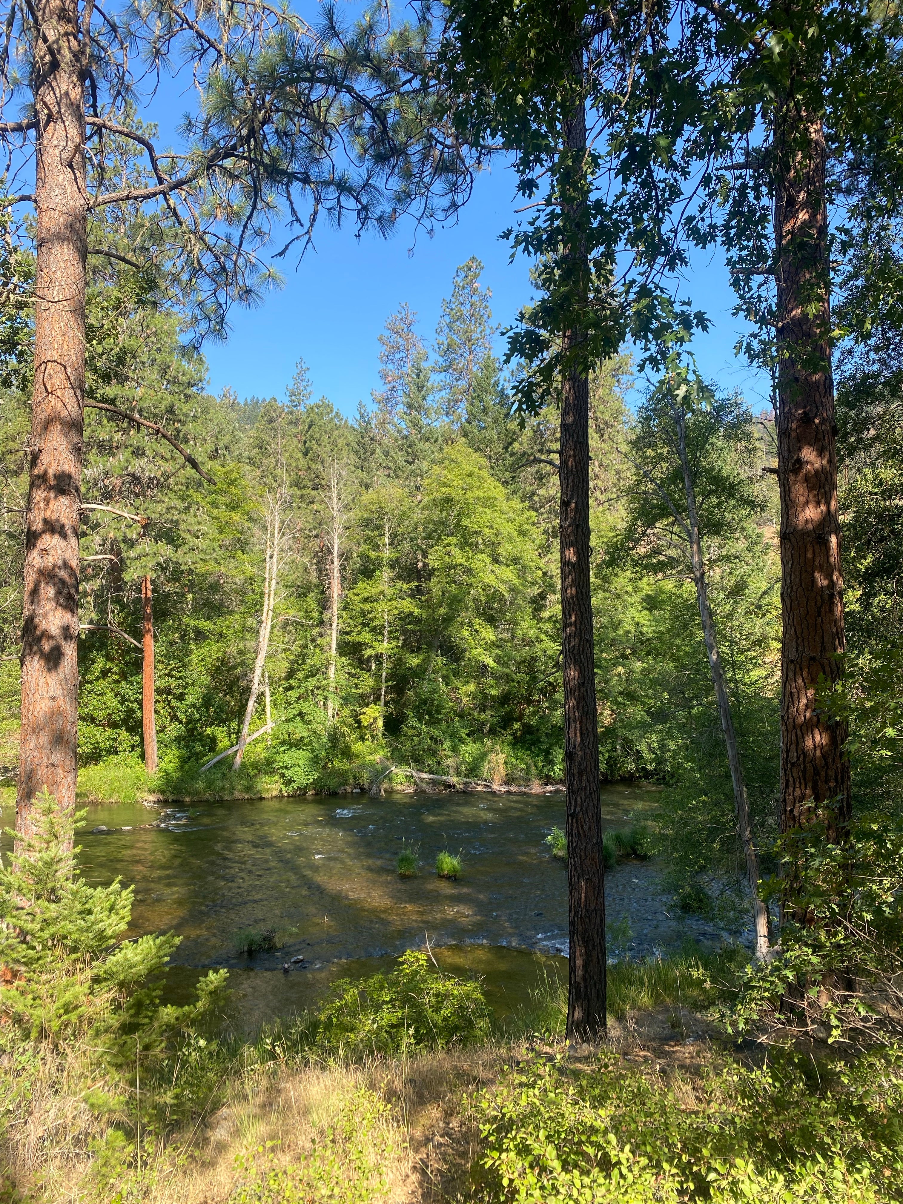 Camper submitted image from Jackson Campground On The Applegate River - 3