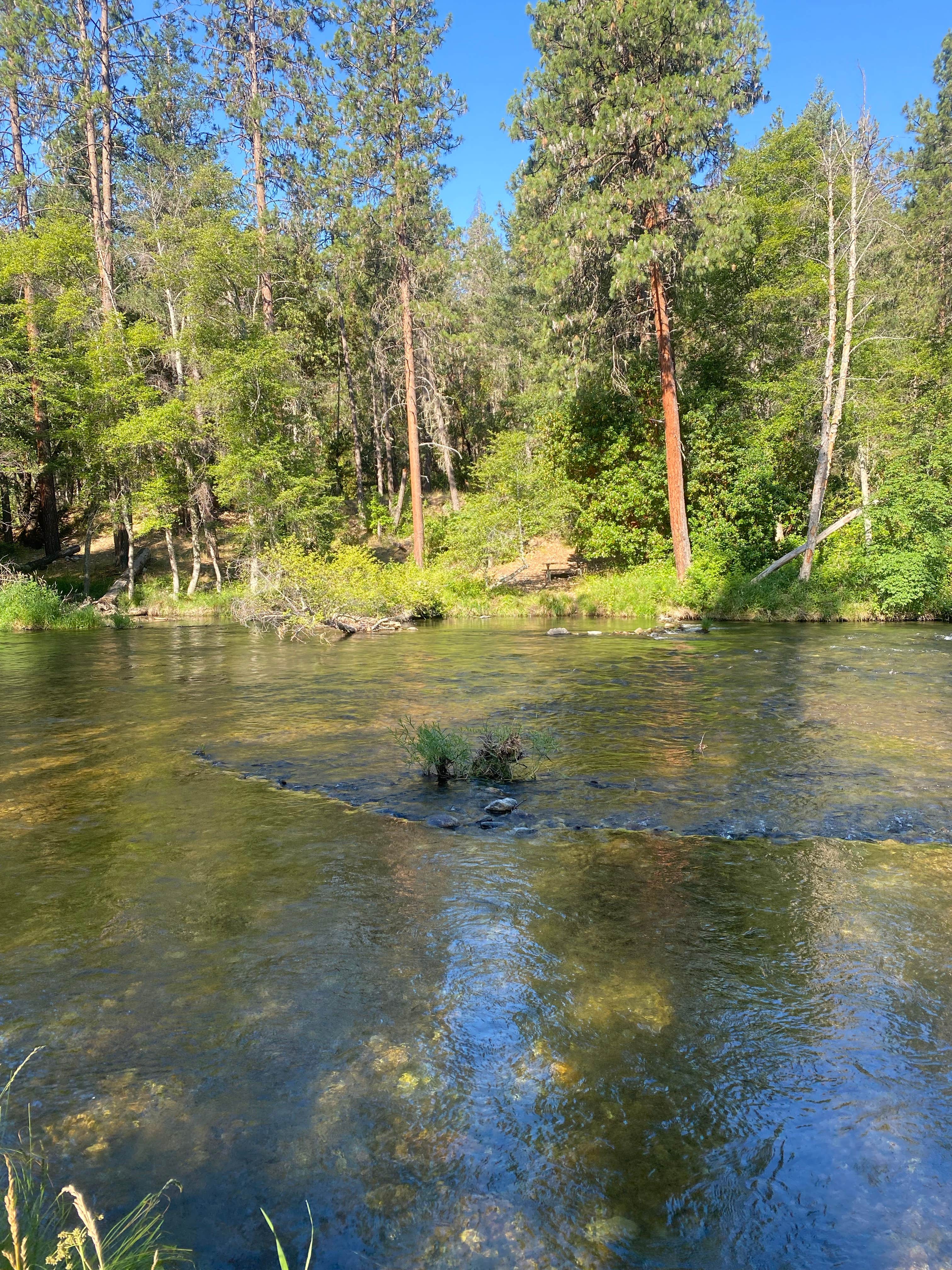 Camper-submitted photo at Jackson Campground On The Applegate River near Jacksonville, OR