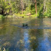 Review photo of Jackson Campground On The Applegate River by chelsea M., July 22, 2023