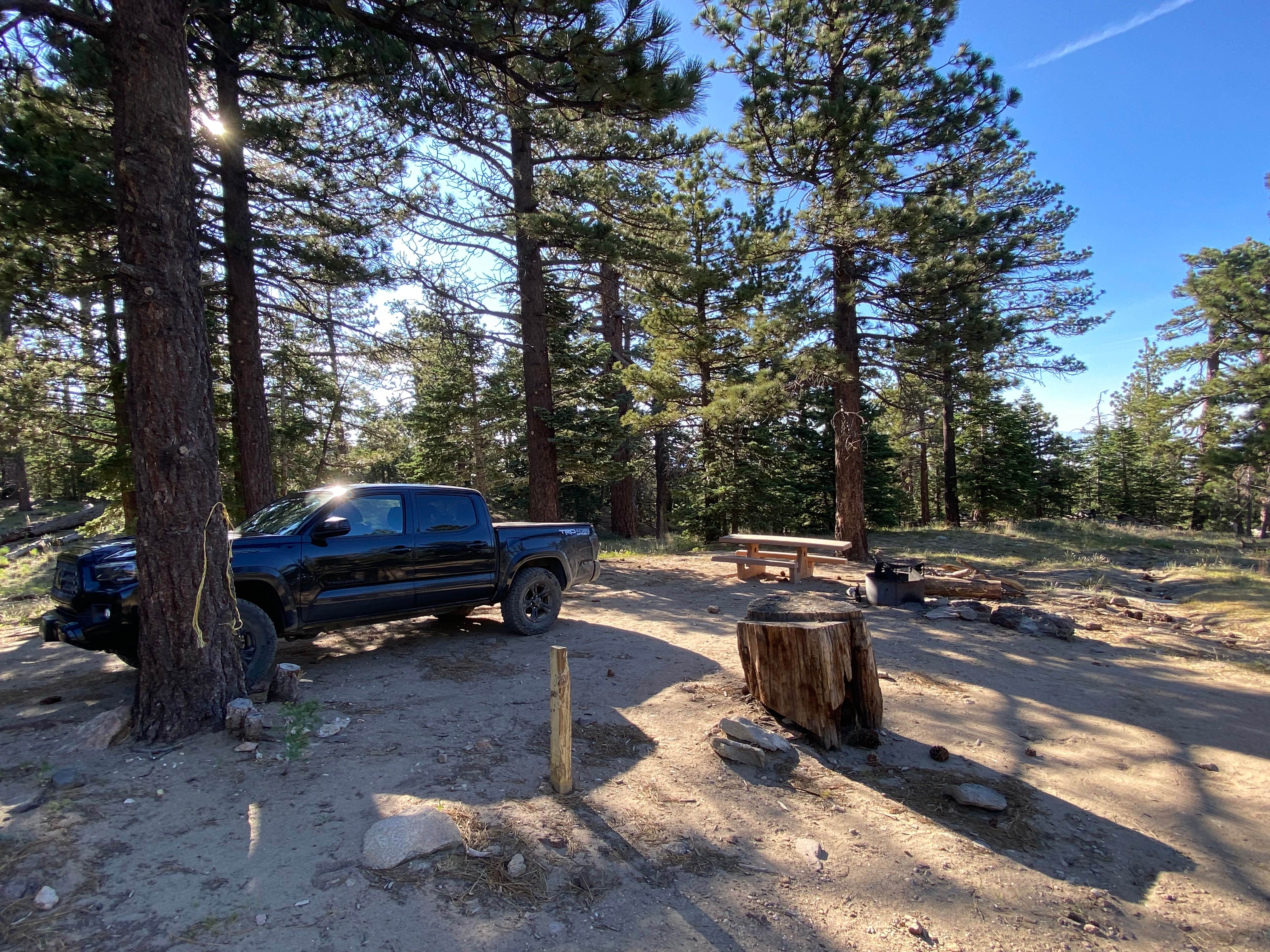 Camper-submitted photo at San Bernardino National Forest Santa Rosa Springs Campground near Idyllwild-Pine Cove, CA