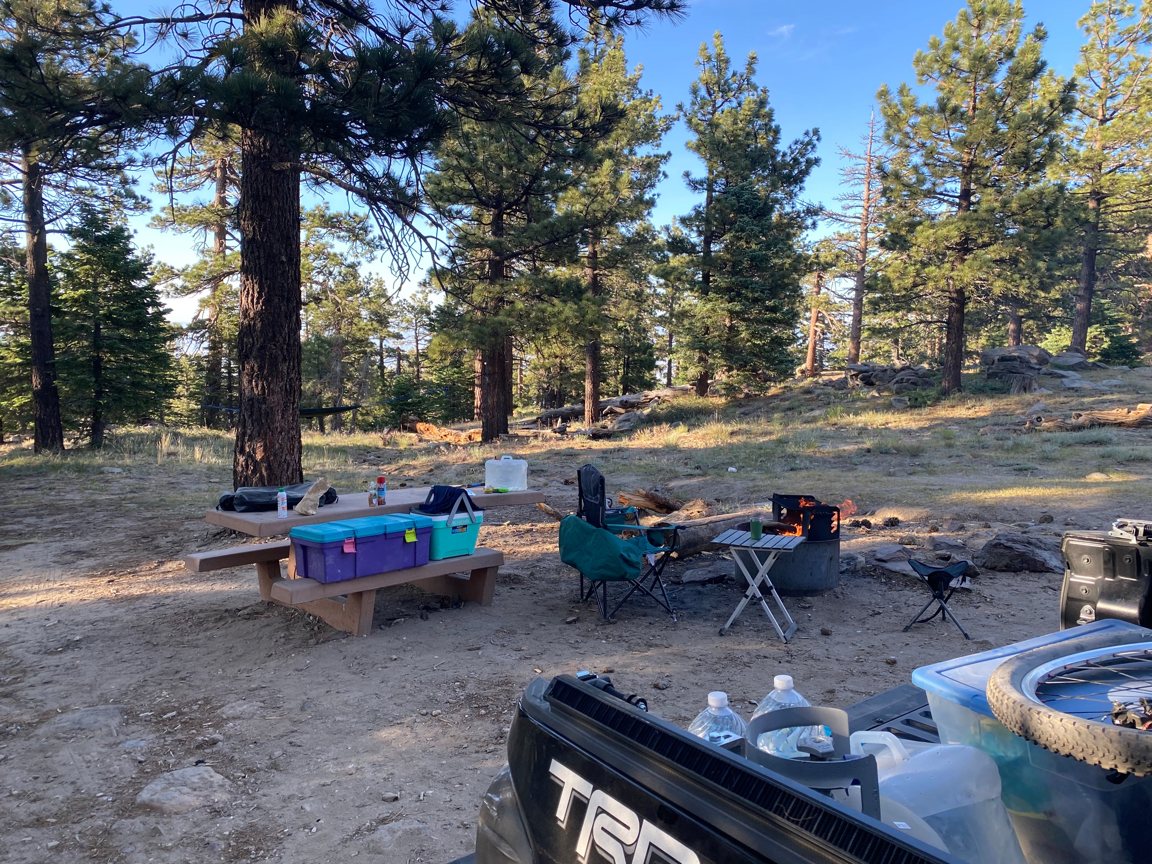 Camper submitted image from San Bernardino National Forest Santa Rosa Springs Campground - 1