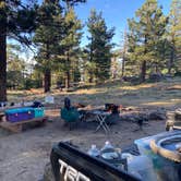 Review photo of San Bernardino National Forest Santa Rosa Springs Campground by Andrew D., July 22, 2023