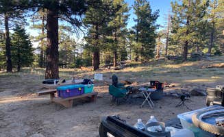 Andrew D.'s photo of tent camping at San Bernardino National Forest Santa Rosa Springs Campground near Warner Springs, CA