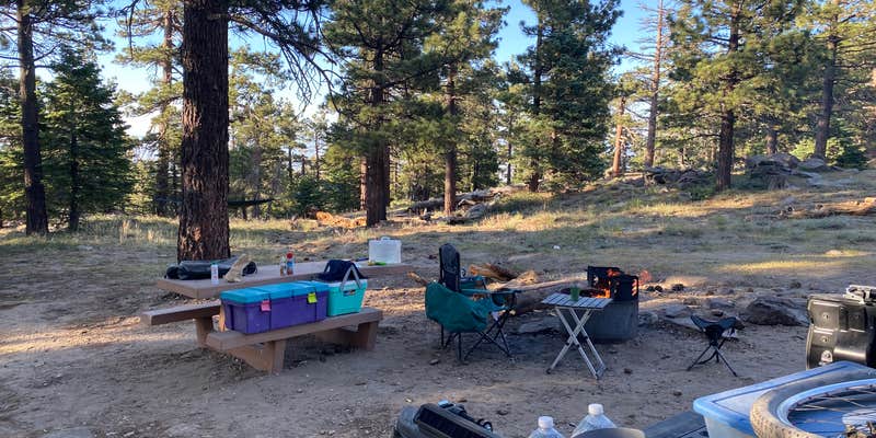 Camper submitted image from San Bernardino National Forest Santa Rosa Springs Campground
