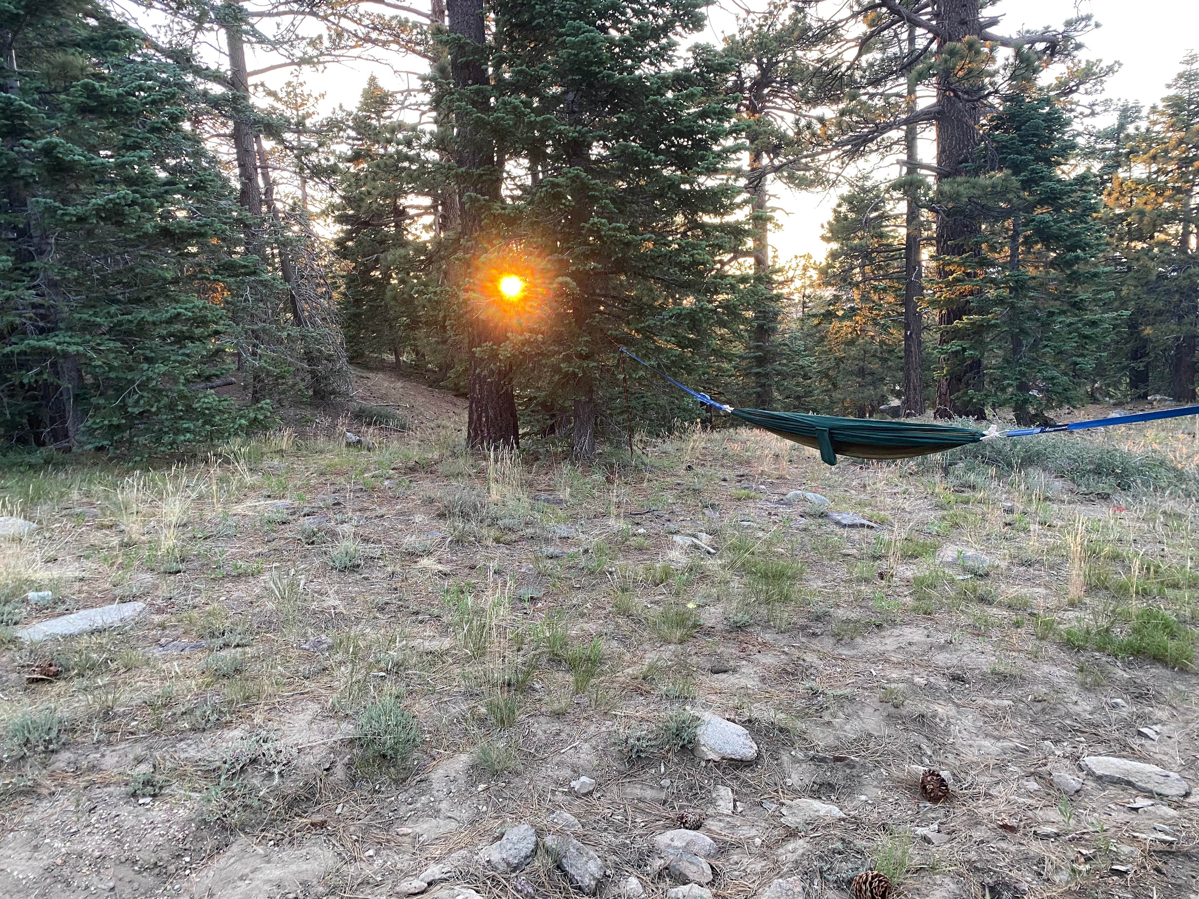 Camper submitted image from San Bernardino National Forest Santa Rosa Springs Campground - 3