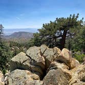 Review photo of San Bernardino National Forest Santa Rosa Springs Campground by Andrew D., July 22, 2023