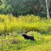 Review photo of Sidie Hollow County Main Campground by Name , July 21, 2023