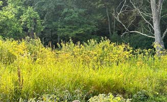 Name's photo of camping with pets at Sidie Hollow County Main Campground near Viroqua, WI