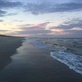 Review photo of Carolina Beach State Park Campground by Sam M., October 24, 2018