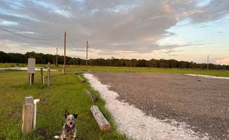 Brian M.'s photo of camping with pets at Find Out Farms near Trilby, FL