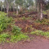 Review photo of Finland State Forest Campground by Lauren M., July 22, 2023