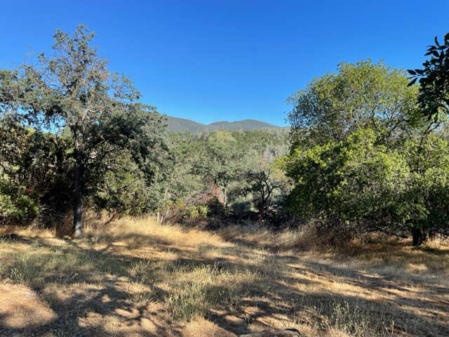 Camper-submitted photo at Kelsey Creek Campground — Clear Lake State Park near Lakeport, CA