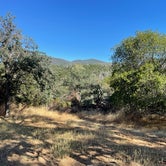 Review photo of Kelsey Creek Campground — Clear Lake State Park by Twindaddy , July 22, 2023