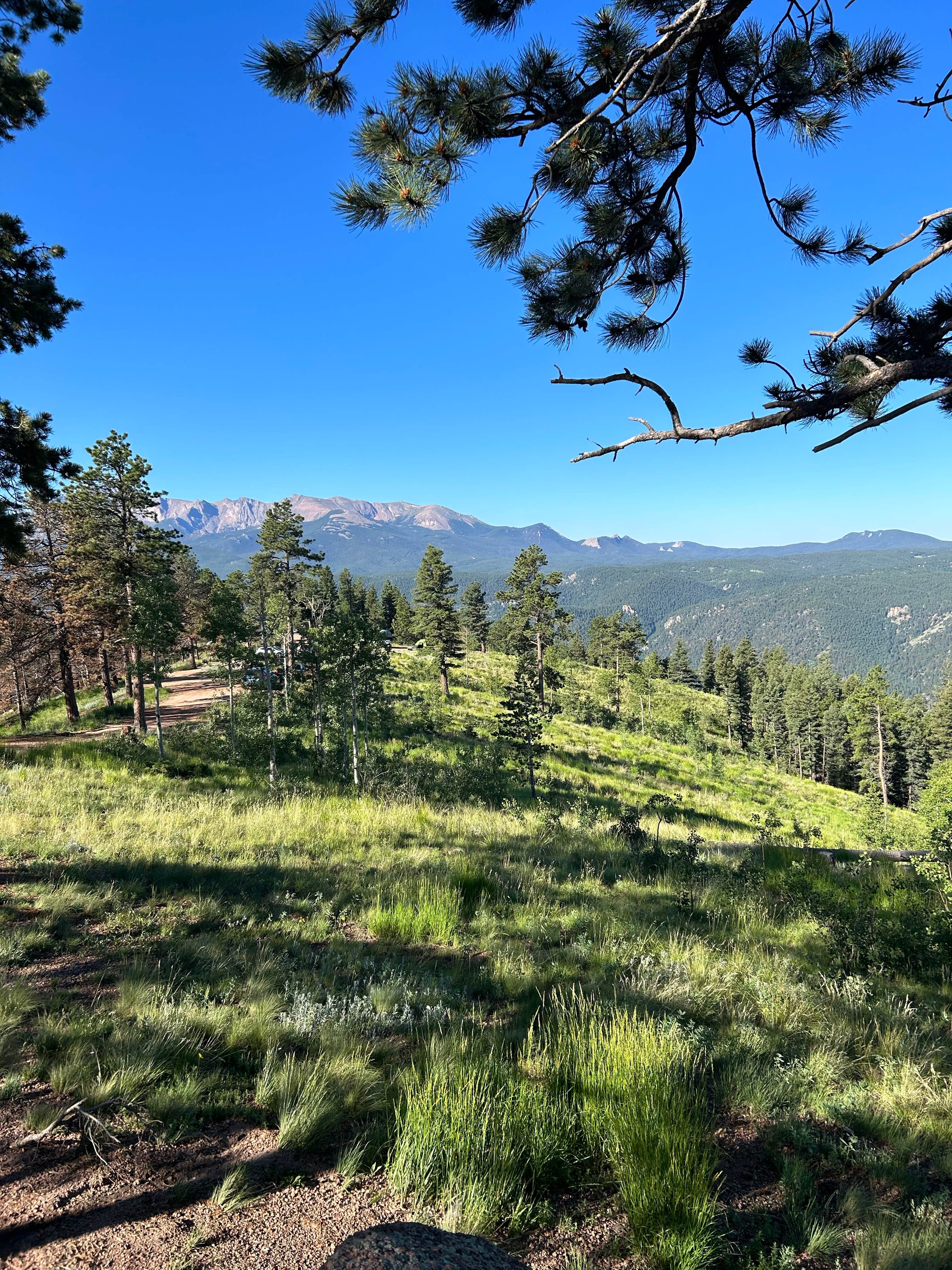 Camper-submitted photo at Rampart Reservoir Dispersed near Manitou Springs, CO