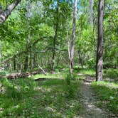 Review photo of St. Charles County Klondike Park by Greg E., July 22, 2023