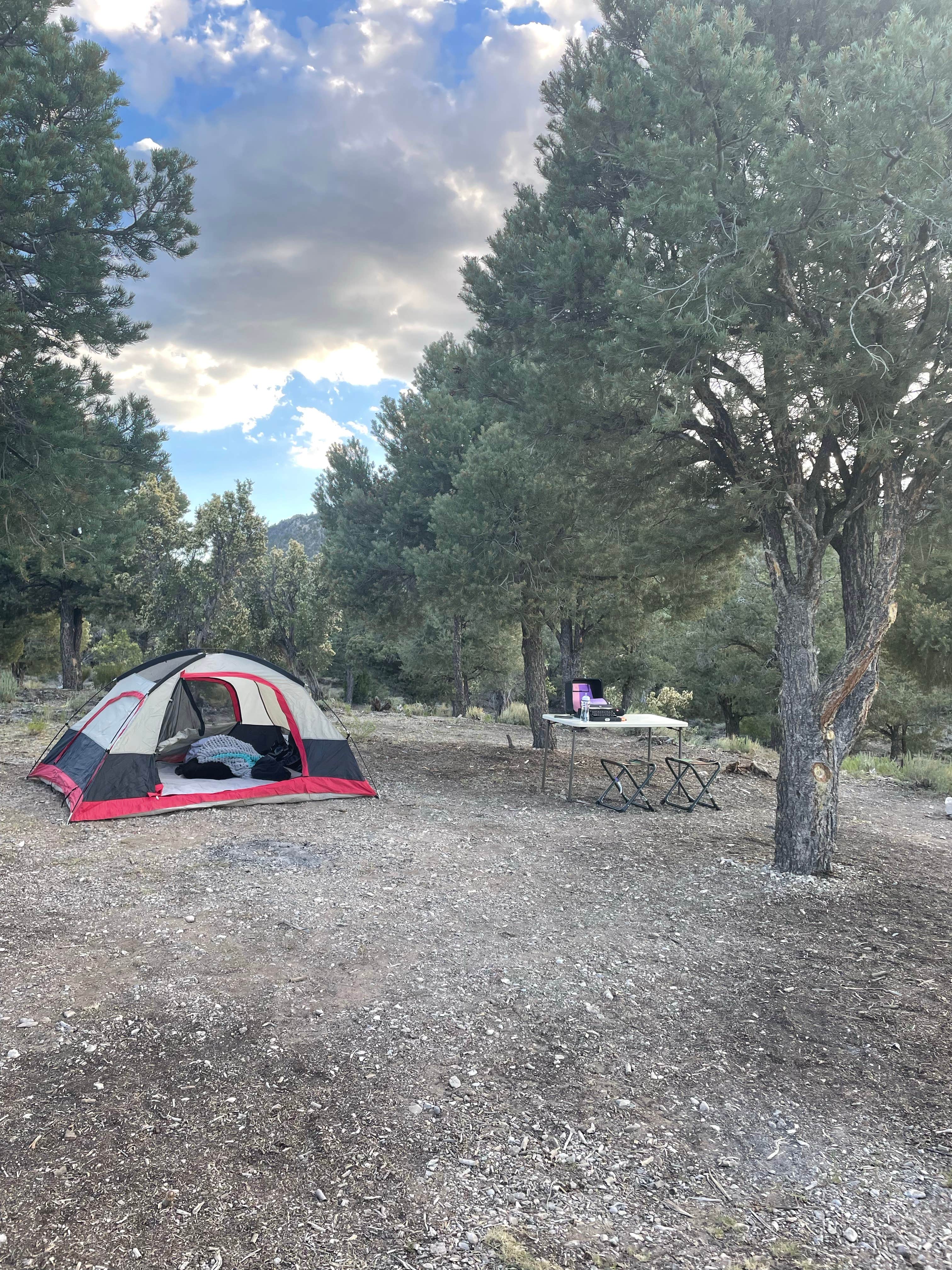 Rylee S.'s photo at Blue Tree Group Camp near Indian Springs, NV