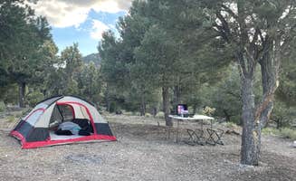 Rylee S.'s photo at Blue Tree Group Camp near Mount Charleston, NV