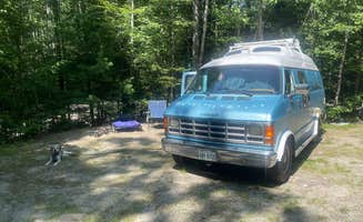 Theresa I.'s photo of camping with pets at Wilderness Edge Campground near Greenville, ME