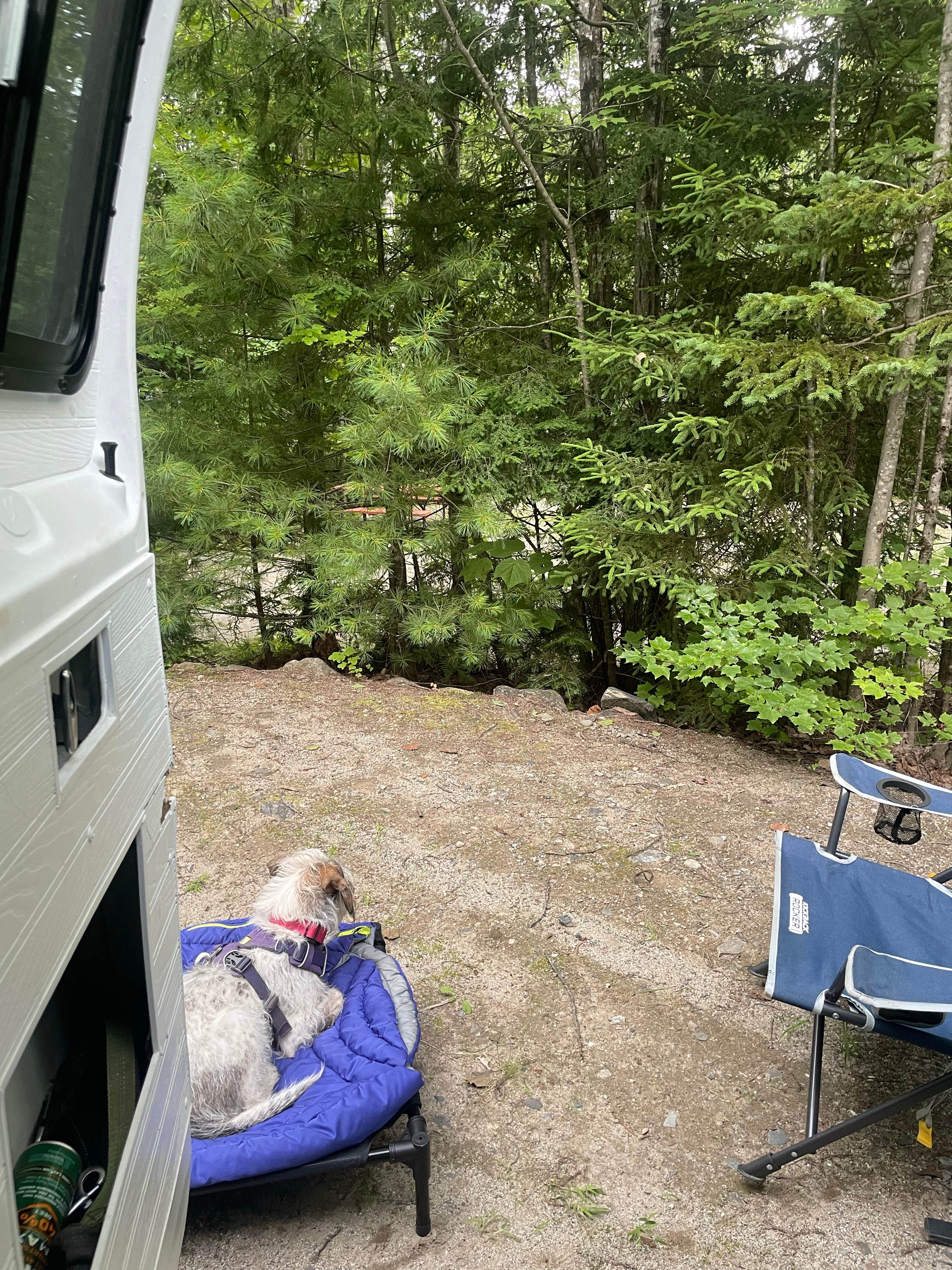 Theresa I.'s photo at Wilderness Edge Campground near Millinocket, ME