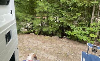 Theresa I.'s photo at Wilderness Edge Campground near Medford, ME