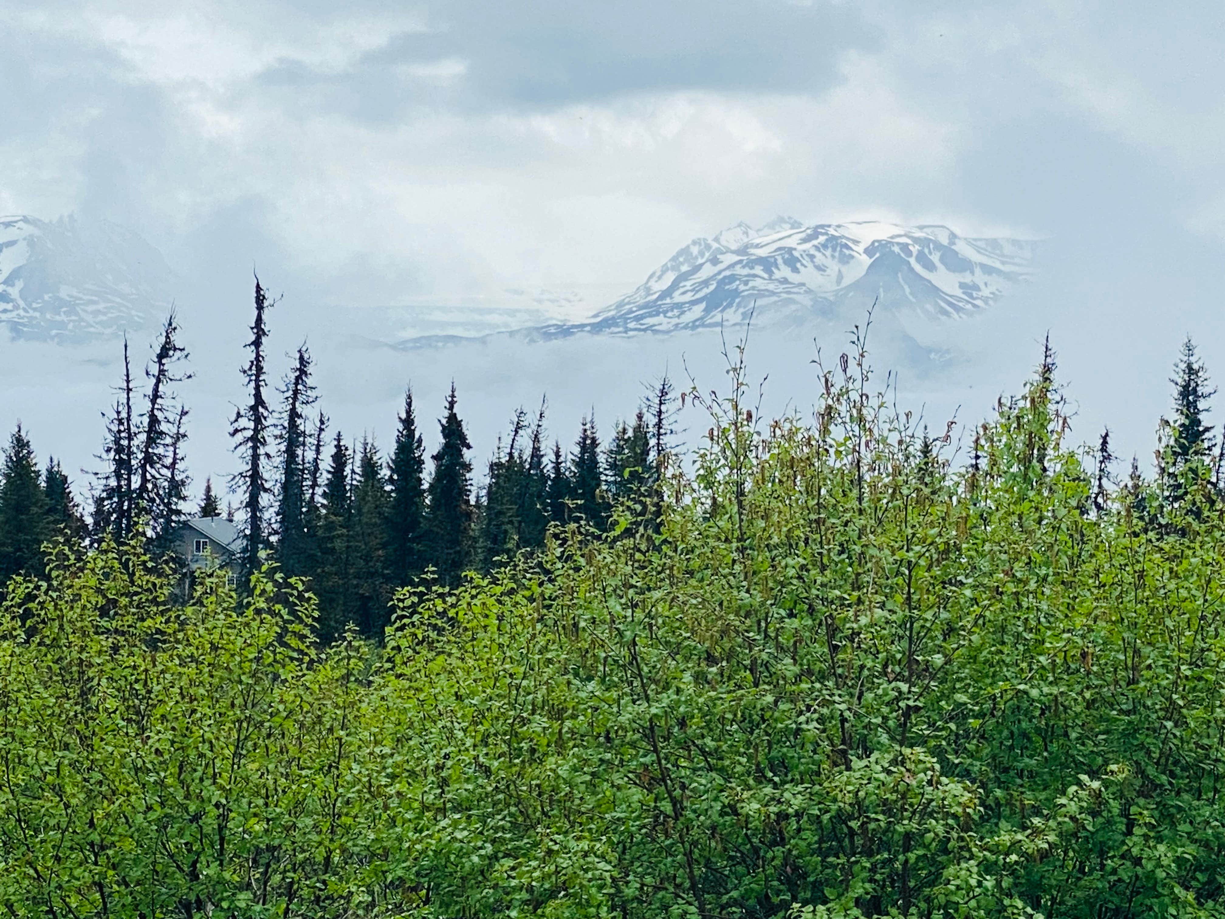 Camping near Driftwood Inn & Homer Seaside Lodges: Glacier Vista, Halibut Cove, Alaska