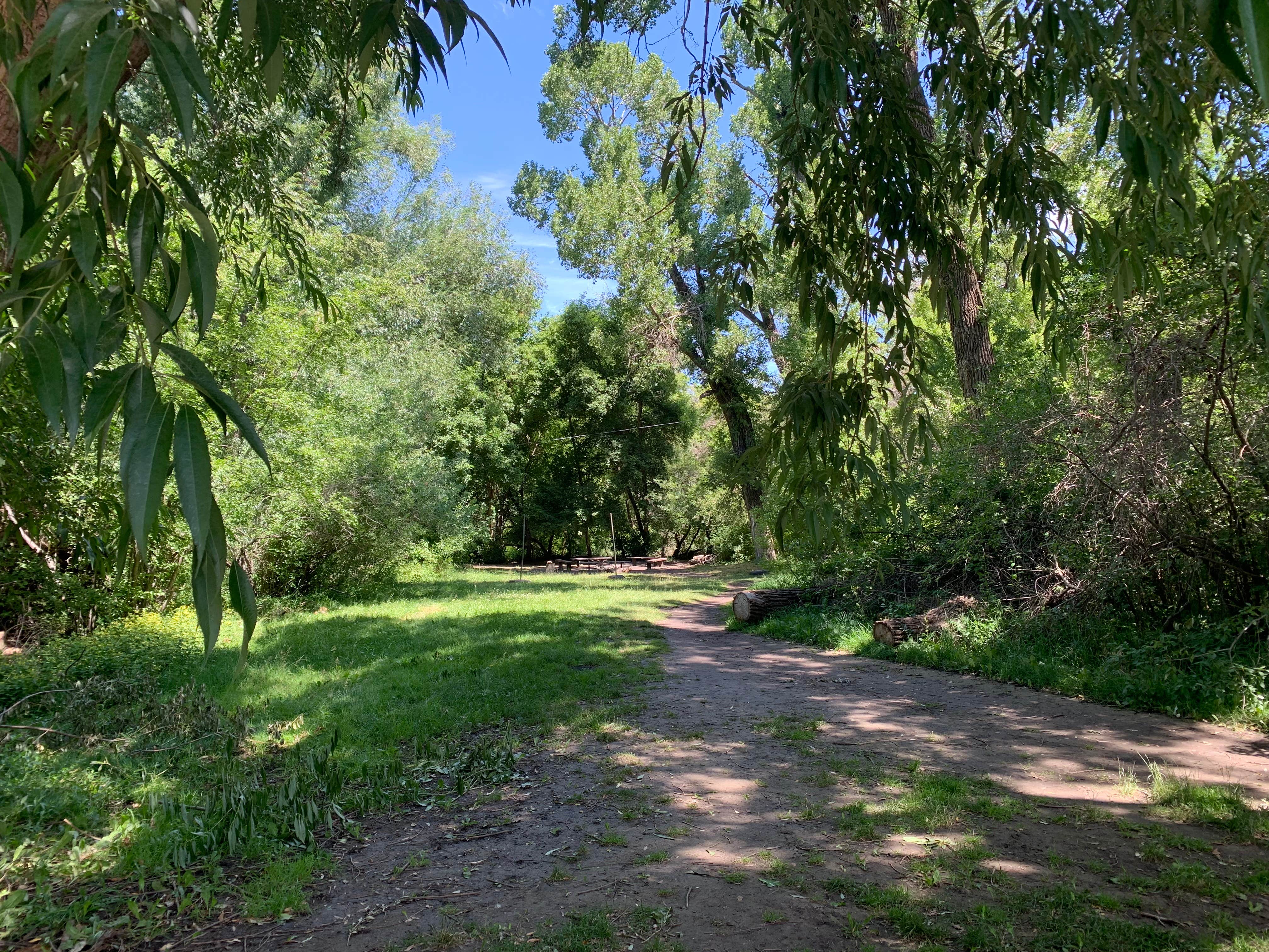 Camper submitted image from Box Elder Campground - 4