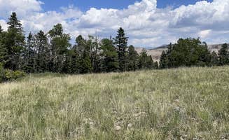Chris P.'s photo of a dispersed camping area at clyde dispersed camping near Victor, CO