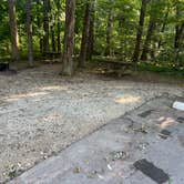 Review photo of Buffalo Ridge Campground — Brown County State Park by Scott B., July 22, 2023