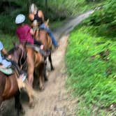 Review photo of Buffalo Ridge Campground — Brown County State Park by Scott B., July 22, 2023