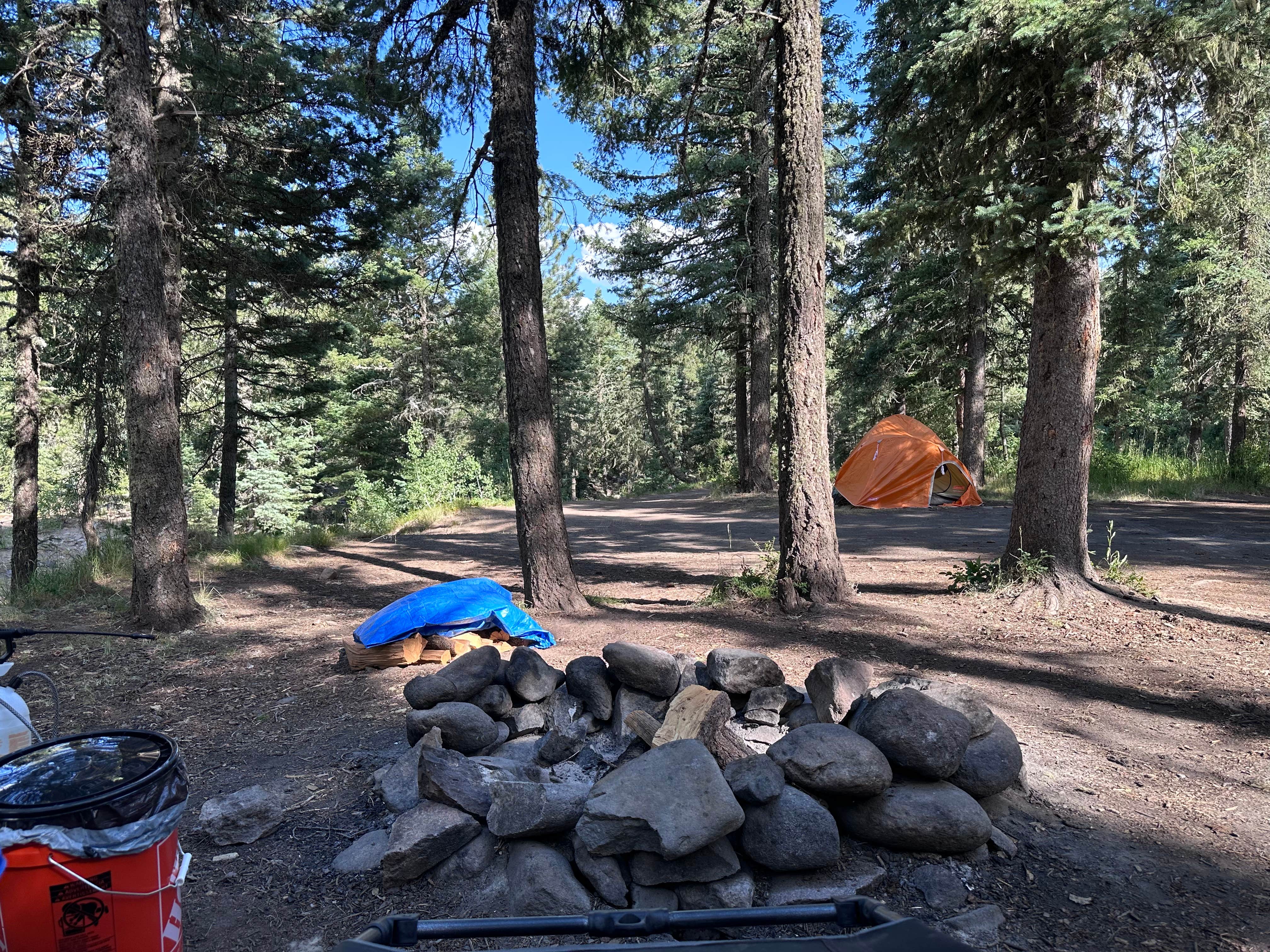 Candace's photo of a dispersed camping area at West Fork Dispersed near South Fork, CO
