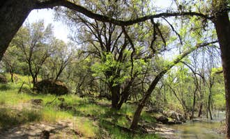 Camping near Rock Creek (sierra Natl Fores): willow creek north, North Fork, California