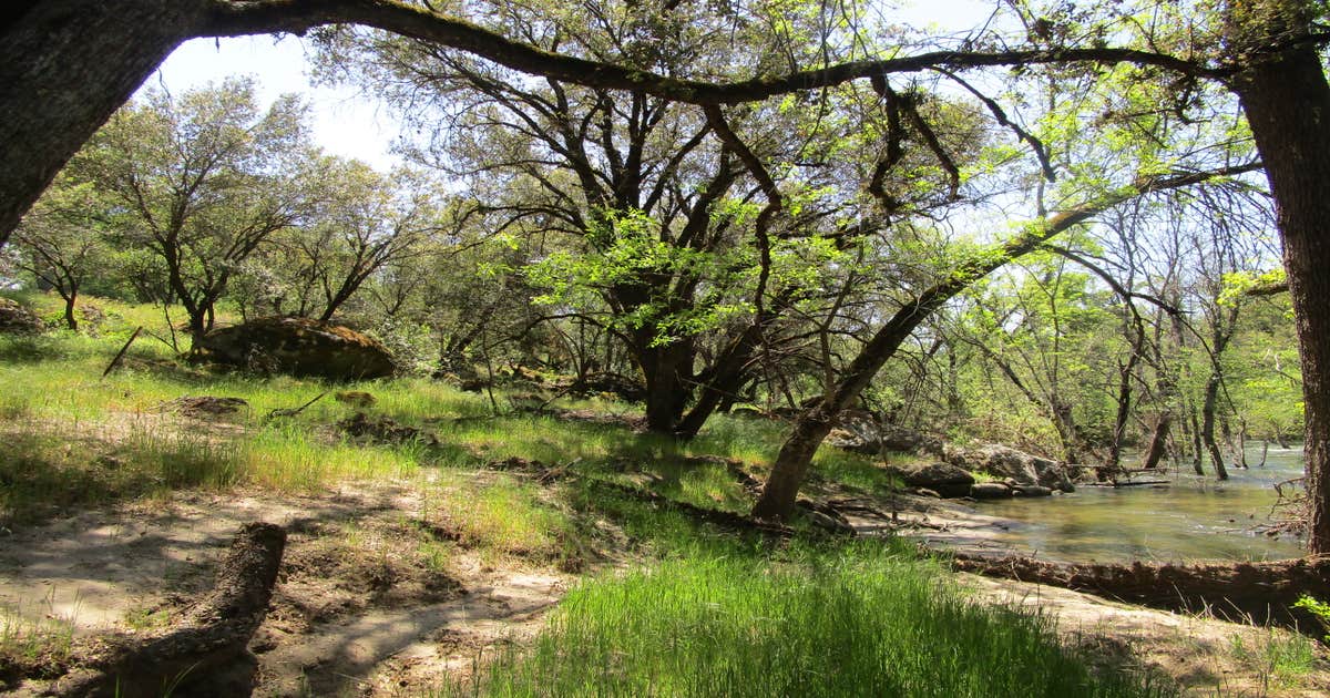 willow creek north Camping | North Fork, CA