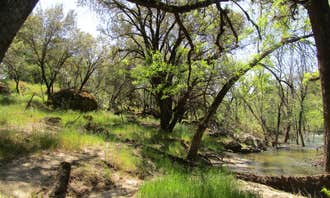 Camping near Rock Creek (sierra Natl Fores): willow creek north, North Fork, California