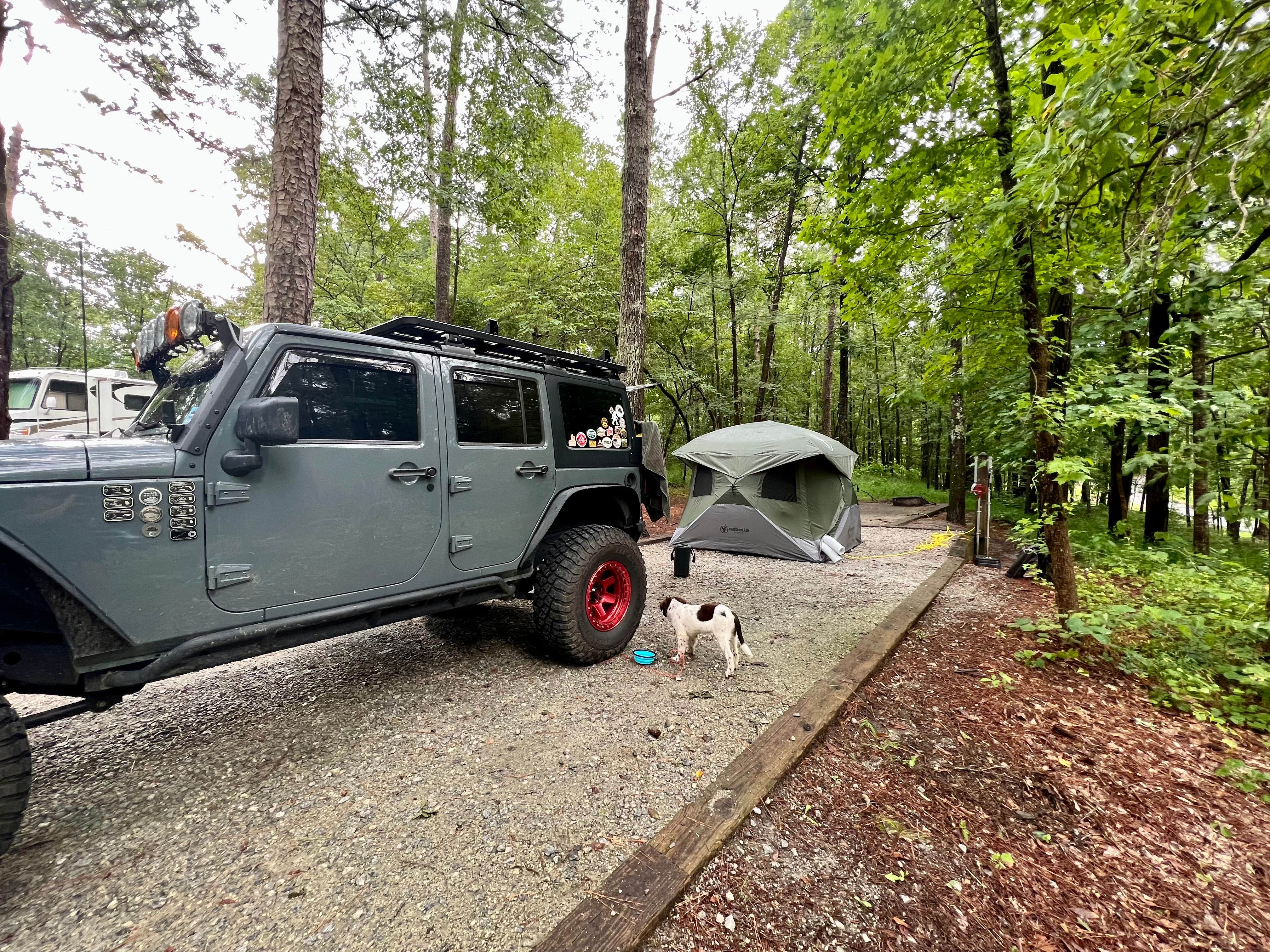 Logan S.'s photo of camping with pets at Hard Labor Creek State Park Campground near Flovilla, GA
