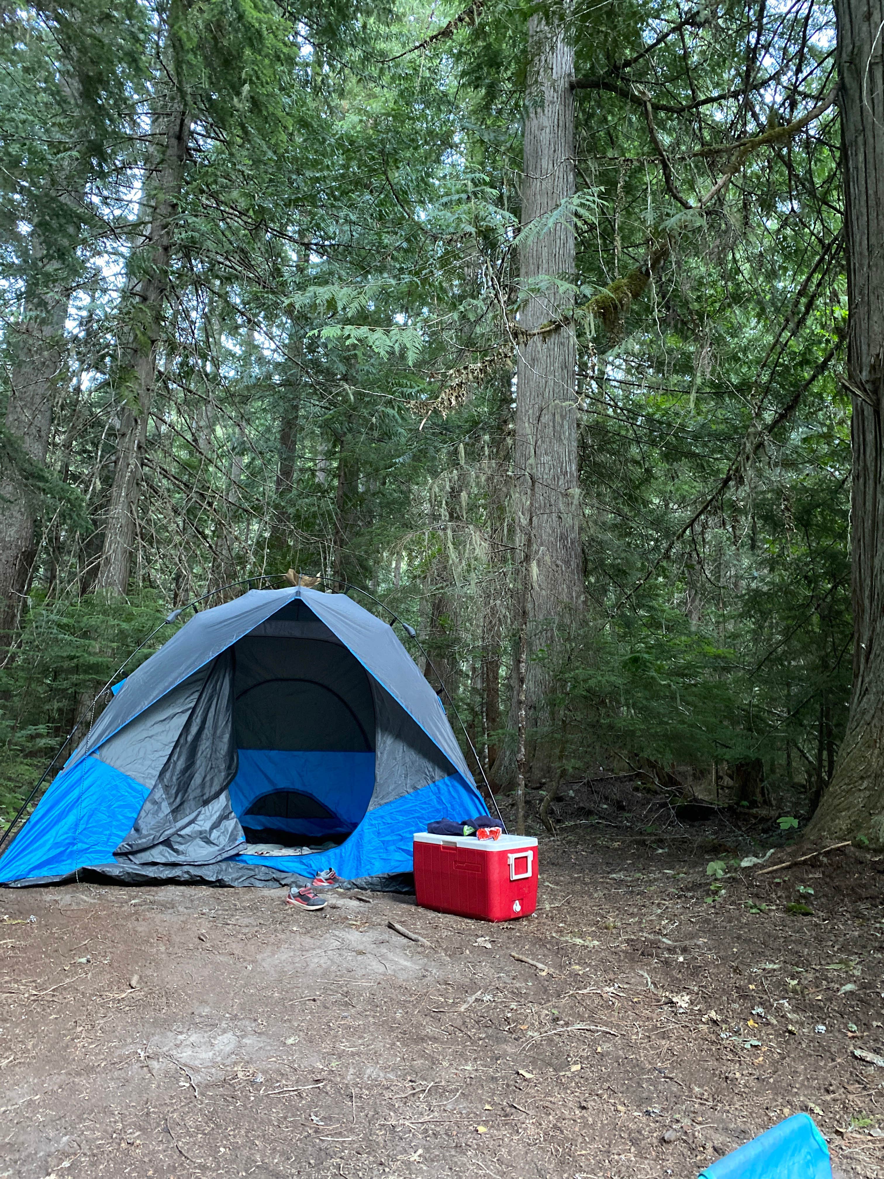 Daisy S.'s photo of tent camping at White River Dispersed Camping near Lake Tapps, WA